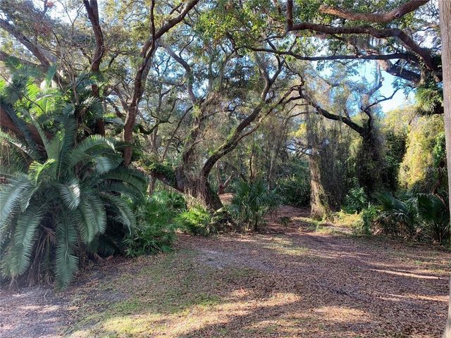 2602 7TH COURT 15, Palm Harbor, FL 34684