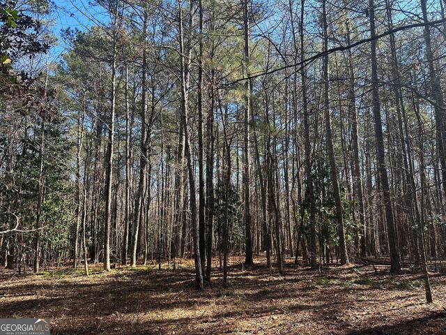 178 Crabapple Lane, Tyrone, GA 30290