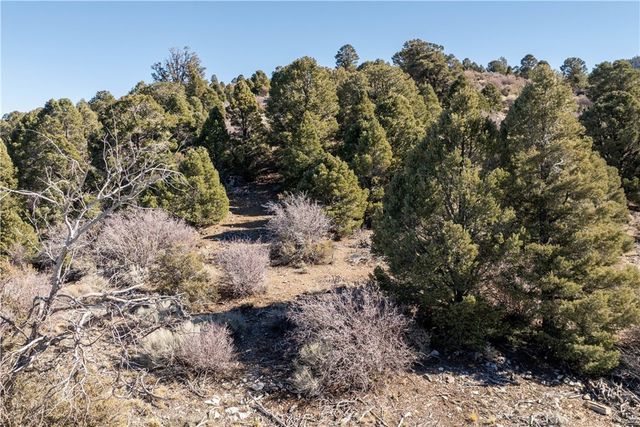 1110 Central, Big Bear City, CA 92314