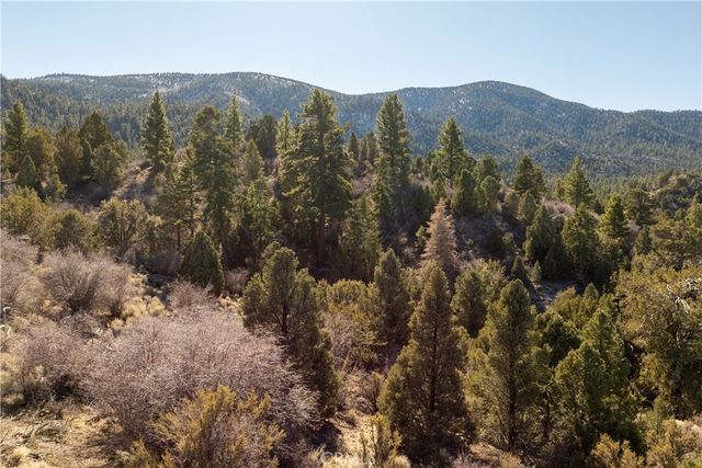 1110 Central, Big Bear City, CA 92314