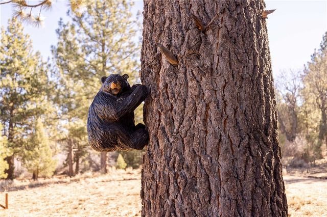 1110 Central, Big Bear City, CA 92314