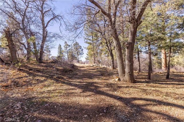 1110 Central, Big Bear City, CA 92314