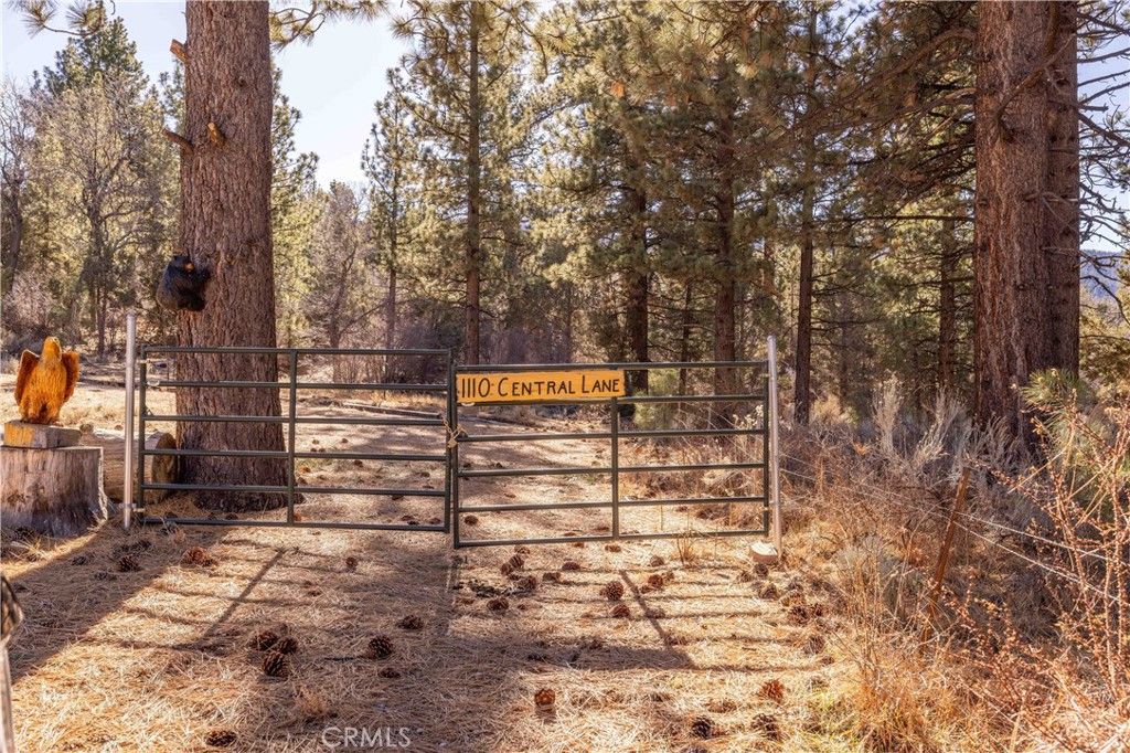 1110 Central, Big Bear City, CA 92314