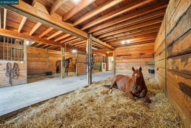 300 Oak View Ter, Danville, CA 94526