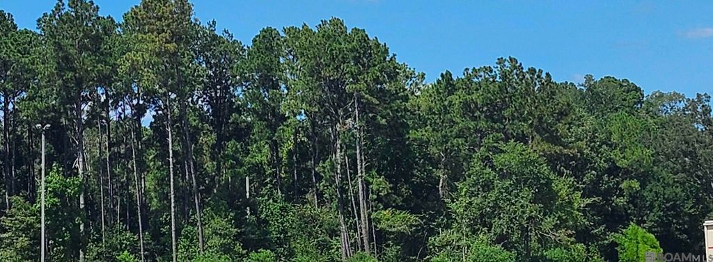 37330 Reinninger Rd, Denham Springs, LA 70706