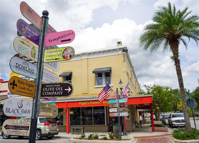 6136 DORA DRIVE, Mount Dora, FL 32757