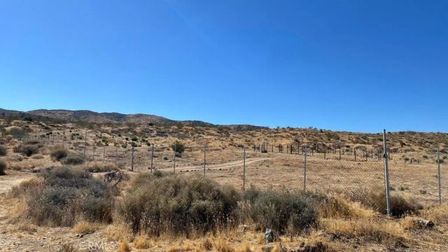 7300 E Mt Emma, Palmdale, CA 93550