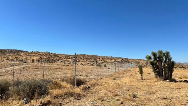 7300 E Mt Emma, Palmdale, CA 93550