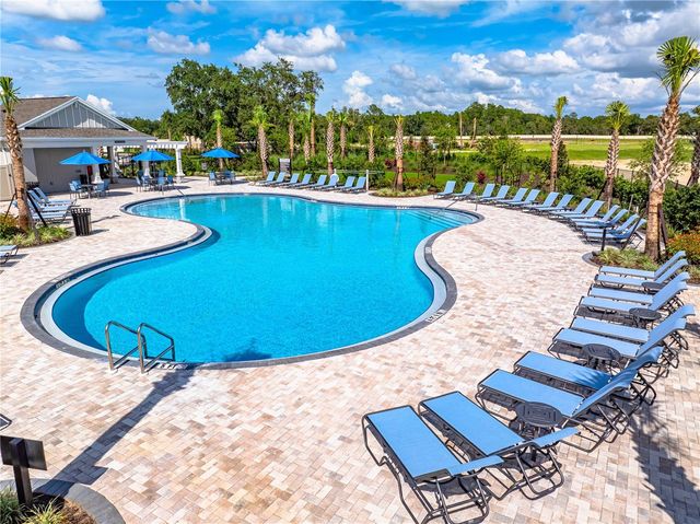 12411 GUST COURT, Hudson, FL 34669