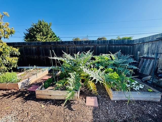 1639 Cypress Avenue, San Mateo, CA 94401