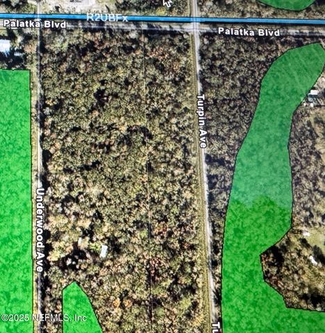 10645 TURPIN Avenue, Hastings, FL 32145