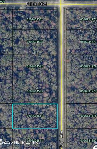 10645 TURPIN Avenue, Hastings, FL 32145