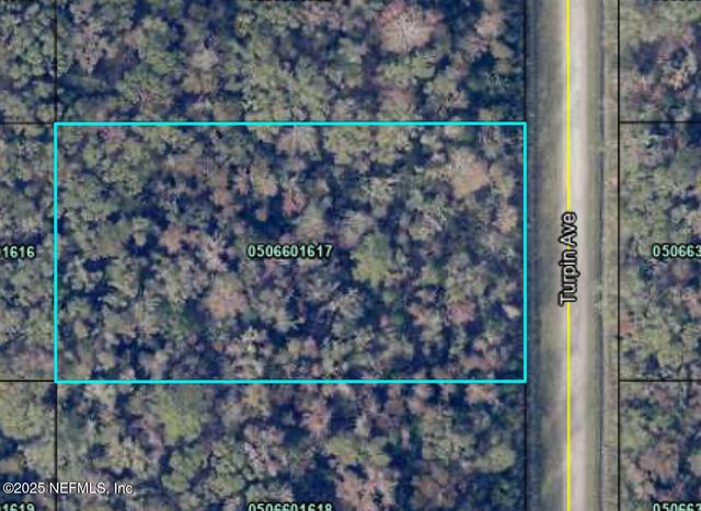 10645 TURPIN Avenue, Hastings, FL 32145