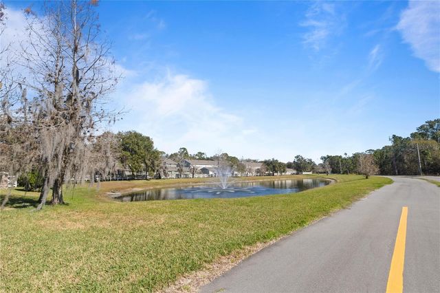 8804 DANFORTH DRIVE, Windermere, FL 34786