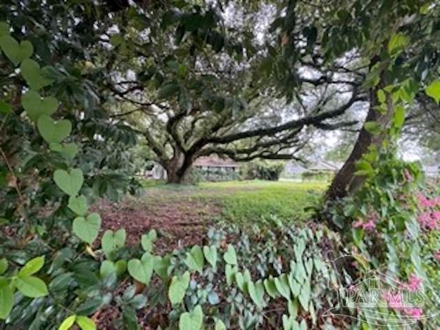 1300 N W St, Pensacola, FL 32505