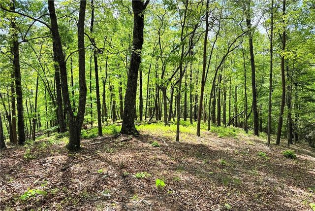 0 Lawrence Road, Dawsonville, GA 30534