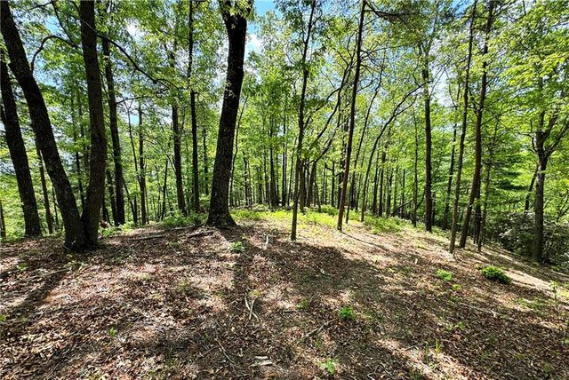 0 Lawrence Road, Dawsonville, GA 30534