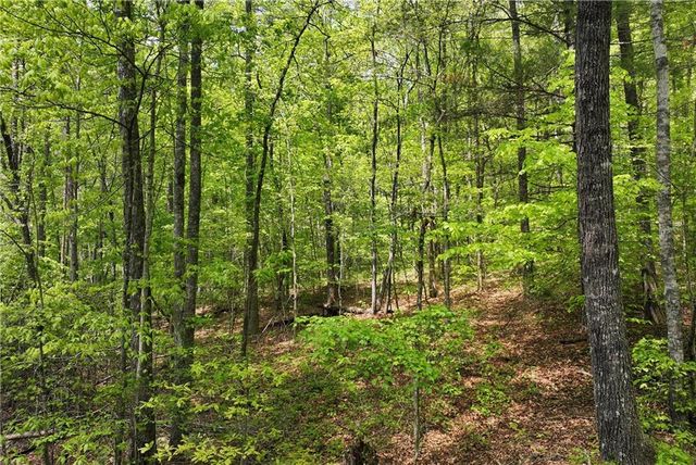 0 Lawrence Road, Dawsonville, GA 30534