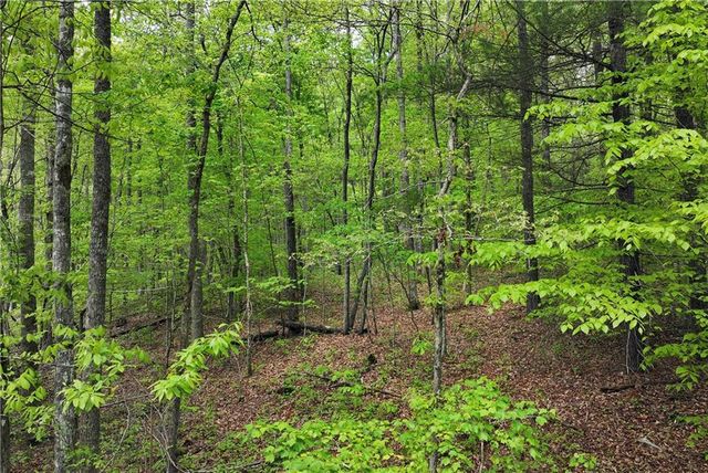 0 Lawrence Road, Dawsonville, GA 30534