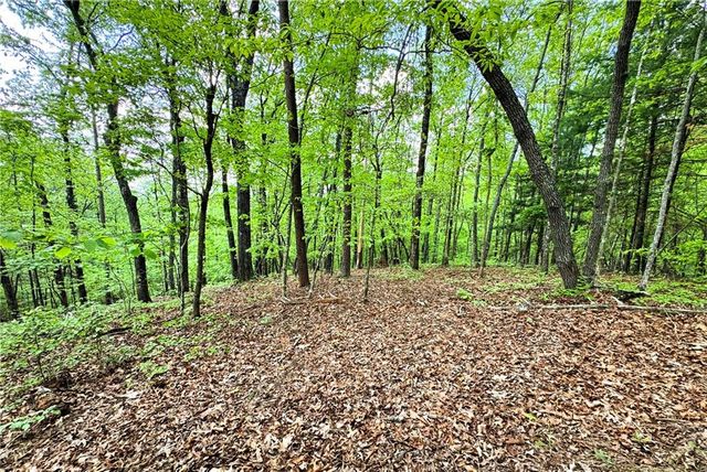 0 Lawrence Road, Dawsonville, GA 30534