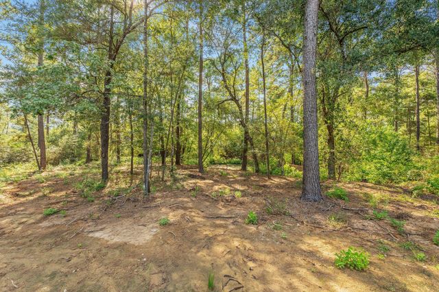 9258 Cedar Bend, Plantersville, TX 77363