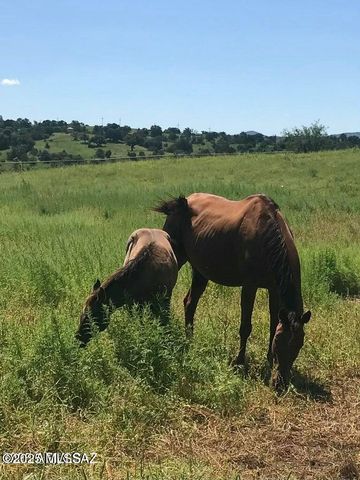 3128 Highway 82, Sonoita, AZ 85637