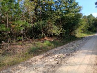 111 Bill Jones Road, Groveton, TX 75845