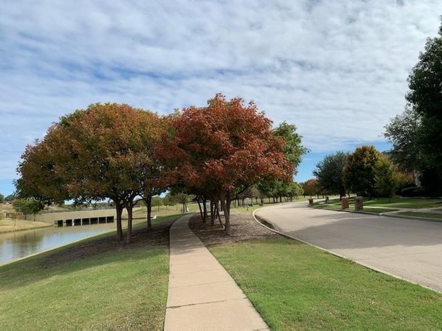 1096 Wetland Drive, Frisco, TX 75033