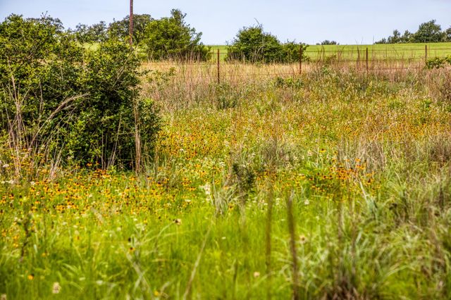 9808 Fm-908, Caldwell, TX 77836