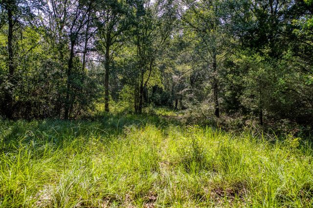 9808 Fm-908, Caldwell, TX 77836