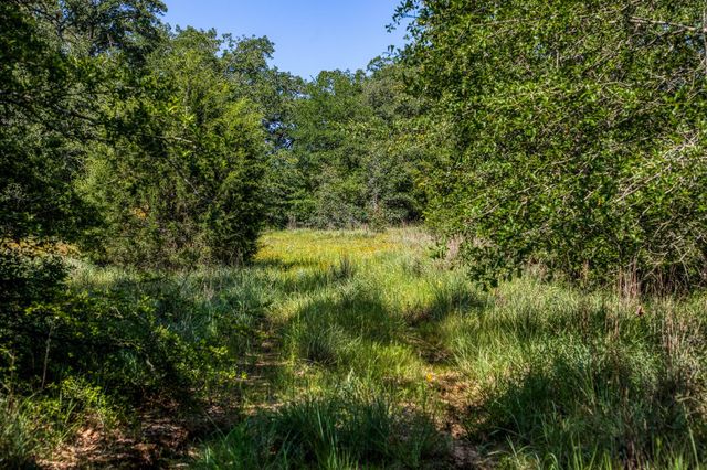 9808 Fm-908, Caldwell, TX 77836