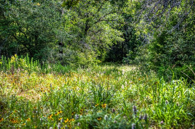 9808 Fm-908, Caldwell, TX 77836