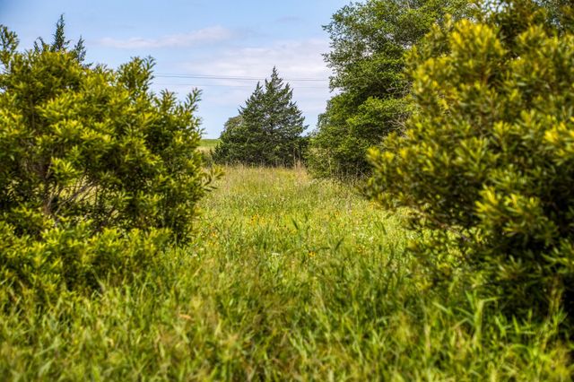 9808 Fm-908, Caldwell, TX 77836