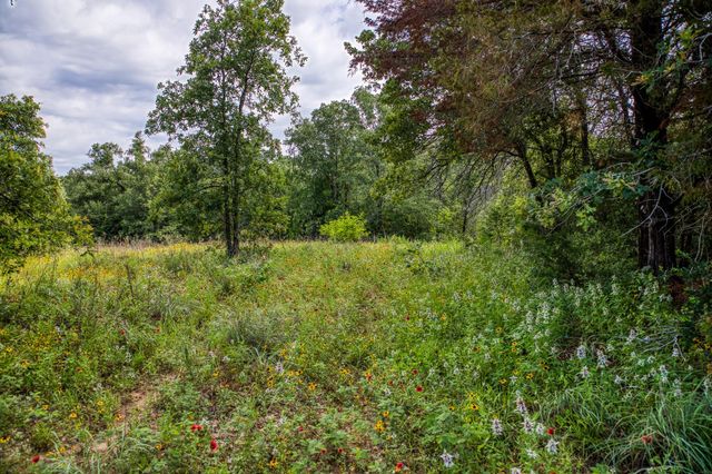 9808 Fm-908, Caldwell, TX 77836