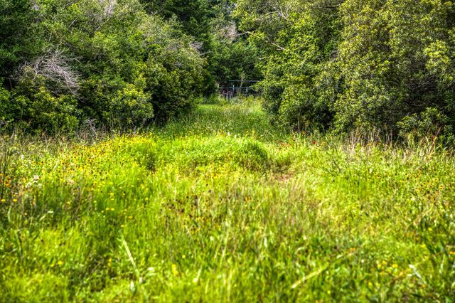 9808 Fm-908, Caldwell, TX 77836