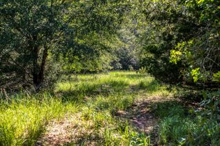 9808 Fm-908, Caldwell, TX 77836