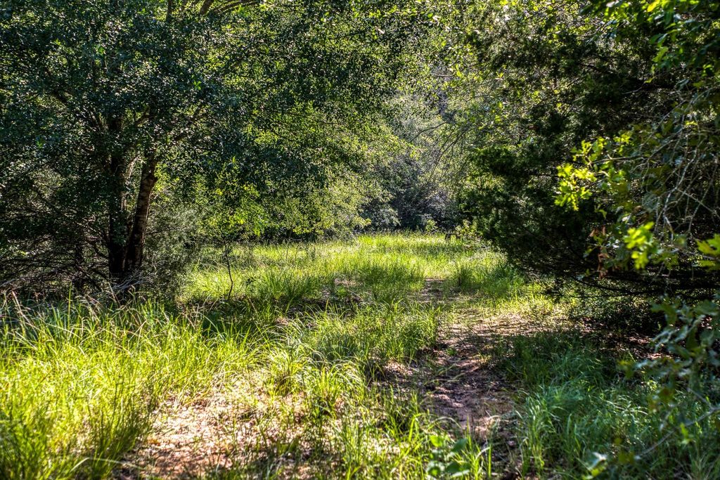 9808 Fm-908, Caldwell, TX 77836