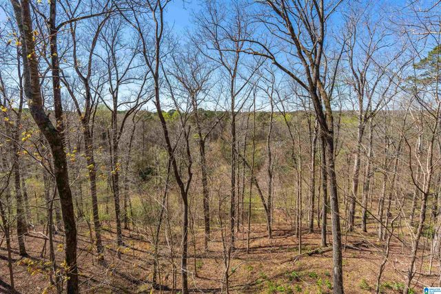 1220 RIVER ROAD, Hoover, AL 35244