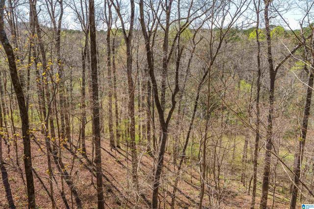 1220 RIVER ROAD, Hoover, AL 35244