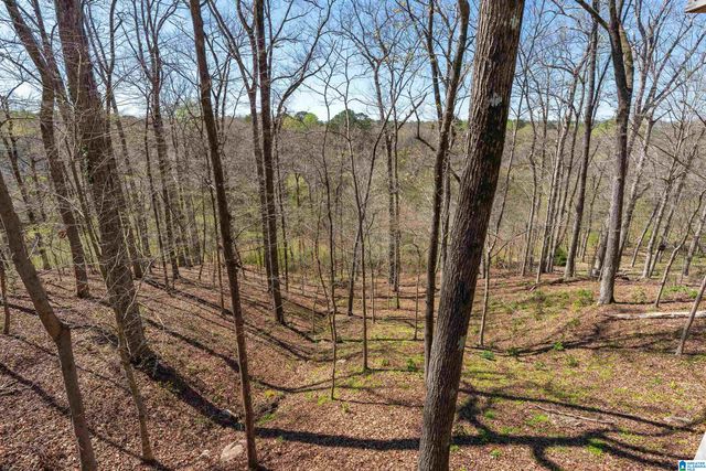 1220 RIVER ROAD, Hoover, AL 35244