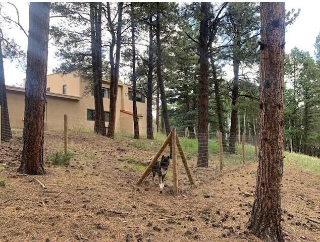 18 Meadow Brook Terrace, Angel Fire, NM 87710