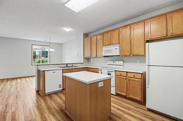 130 River Woods Drive W, Saint Paul Park, MN 55071