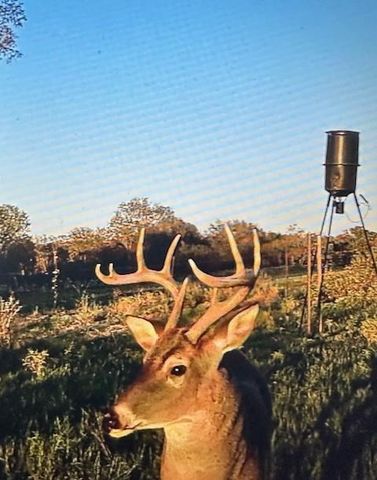 2061 FM 1445, Cameron, TX 76520