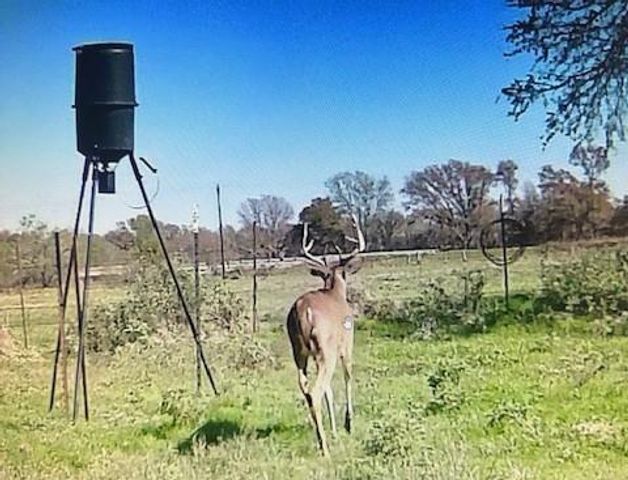 2061 FM 1445, Cameron, TX 76520