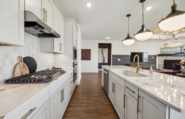 14553 Lovelace Street, Pilot Point, TX 75009