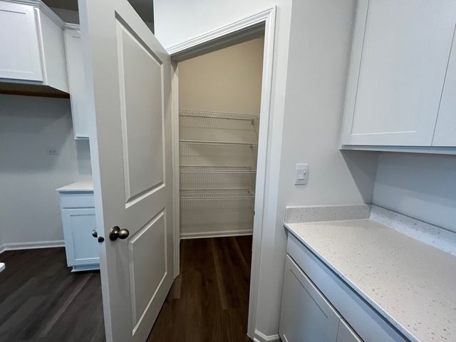 25518 W Sandalwood Lane, Plainfield, IL 60544