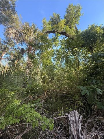 10274 W OZELLO TRAIL, Crystal River, FL 34429