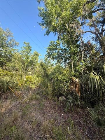 10274 W OZELLO TRAIL, Crystal River, FL 34429