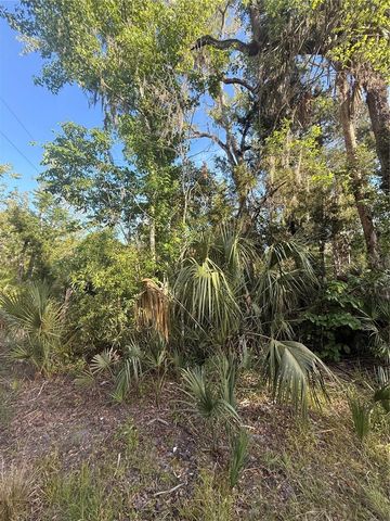 10274 W OZELLO TRAIL, Crystal River, FL 34429
