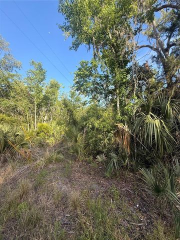 10274 W OZELLO TRAIL, Crystal River, FL 34429